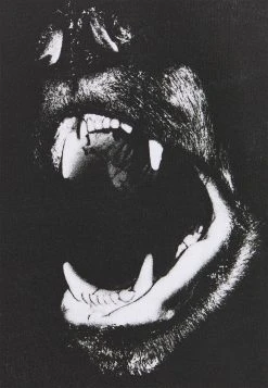 YOURTURN Prix Raisonnable UNISEX - T-shirt imprimé t shirt Col rond all -YOURTURN Soldes 58bb31f561364d32afd21d152180aa2a